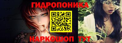 гашик Гусь-Хрустальный