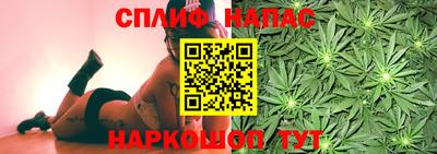гашик Гусь-Хрустальный